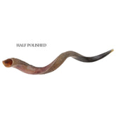 Large kudu shofar buy — curved kudu horn from the Holy Land